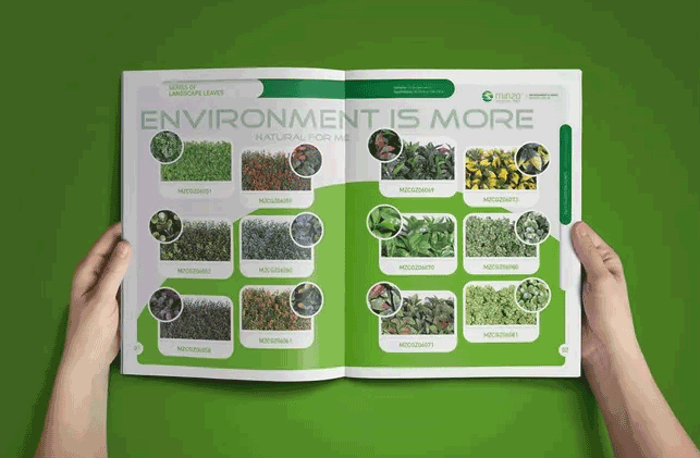 上海畫冊印刷產品有哪些主要特點 第1張 上海畫冊印刷產品有哪些主要特點 第1張