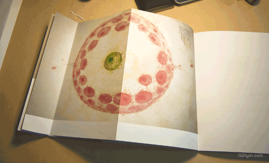 企業(yè)畫冊(cè)印刷 第1張 企業(yè)畫冊(cè)印刷 第1張