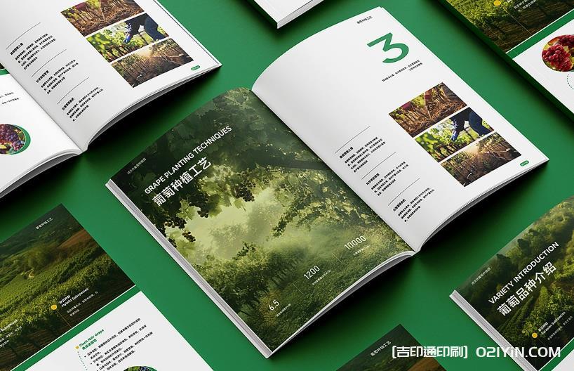 上海產品畫冊印刷避坑指南：文件規(guī)范、工期把控與質量驗收要點