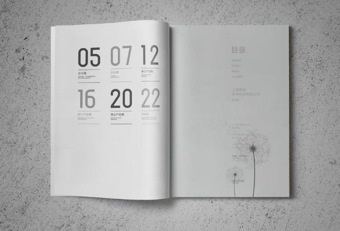 上海企業簡介定制印刷，按需設計，貼合企業個性化需求